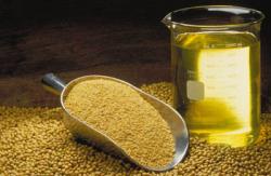 Soya Oil